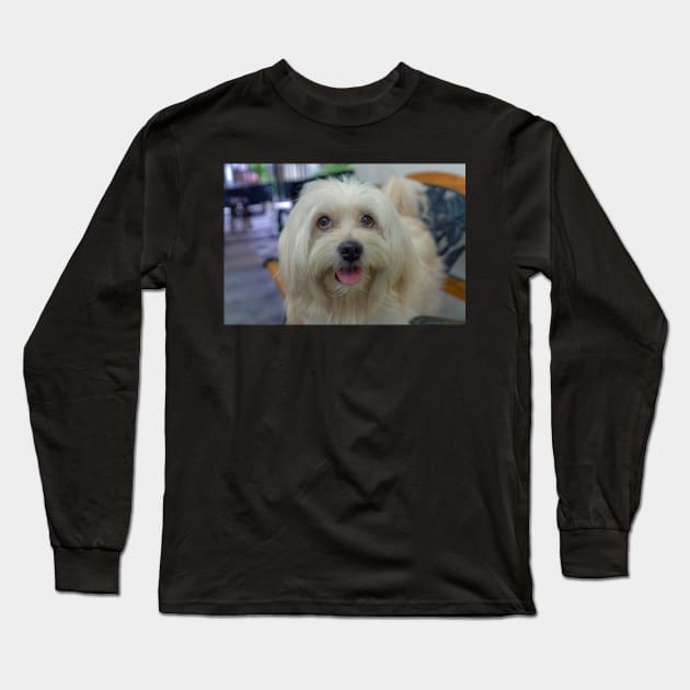 PET DOG Long Sleeve T-Shirt by likbatonboot